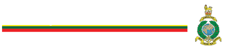 The Royal Marines MilSim Unit
